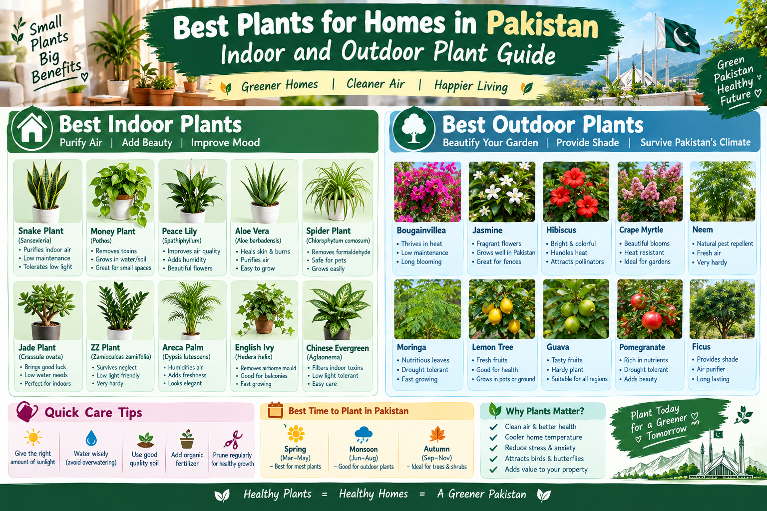 Best Plants for Homes in Pakistan: Indoor and Outdoor Plant Guide